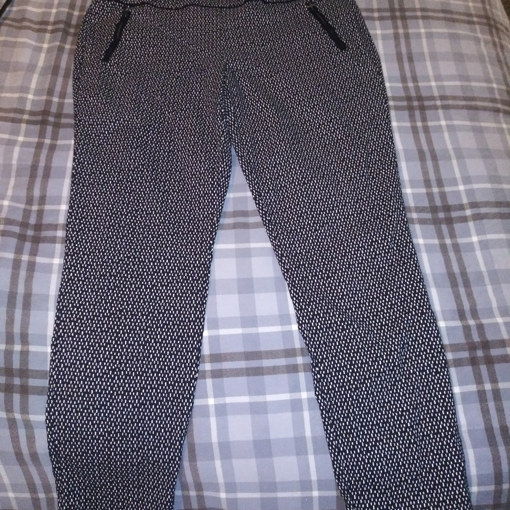 Dress Pants